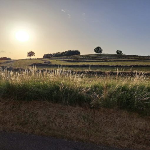 Paysage et soleil à Fauroux