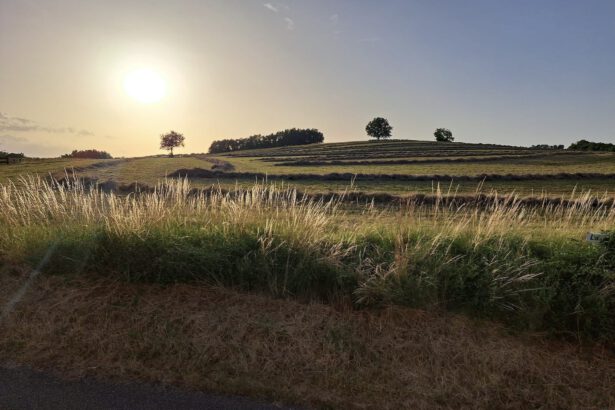 Paysage et soleil à Fauroux